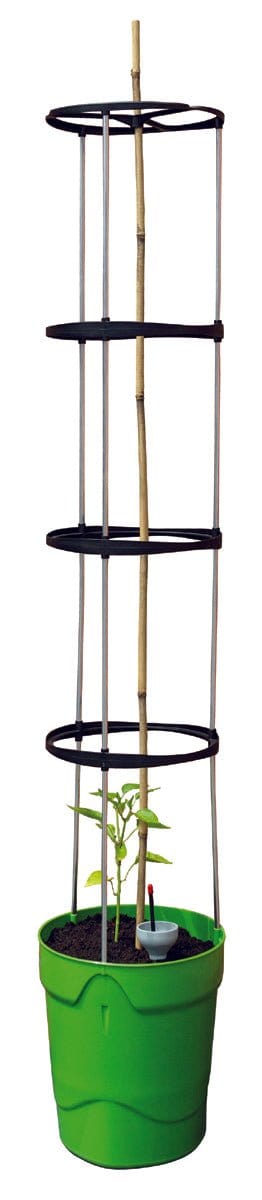 Grotårn, grøn - Blomsterverden